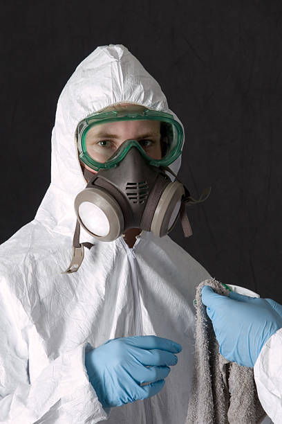Reliable Sanborn, NY Mold Removal Solutions